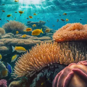 Everyday Doesn't Have To Be About You