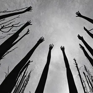 Reaching Up To Heaven